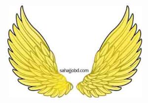Facebook Stylish Cover Photo Download for VIP Account
