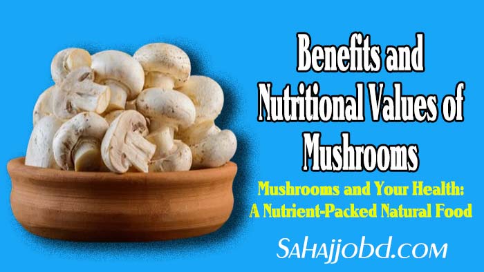 Benefits and Nutritional Values ​​of Mushrooms