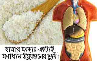 ইসবগুলের ভুষি উপকারীতা ও অপকারীতা কি?-Isabgoler Bhusi