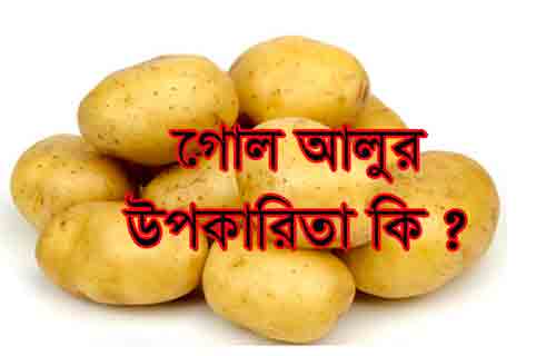 গোল আলুর উপকারিতা ও বৈজ্ঞানিক নাম
